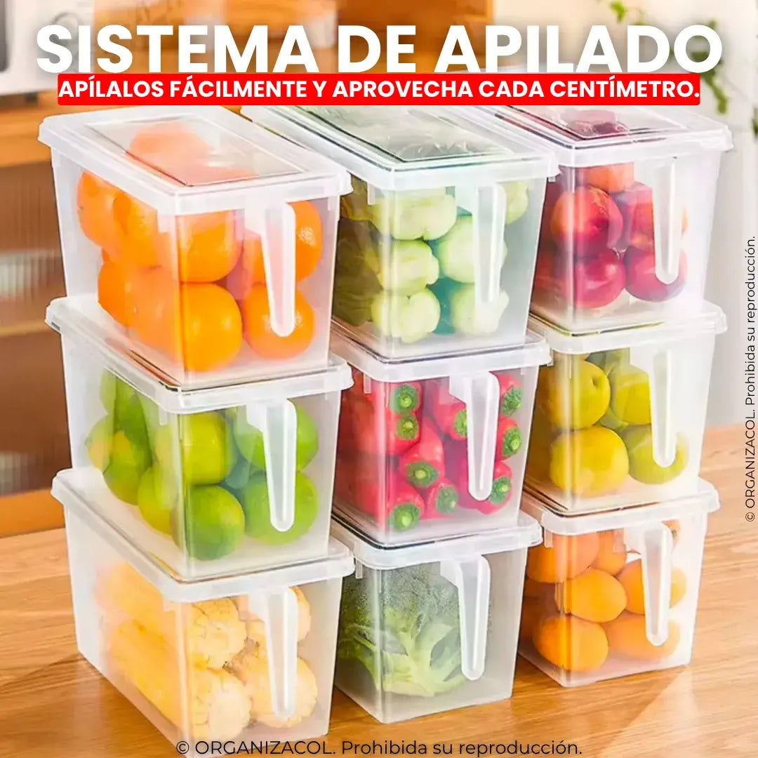 Organizador con Tapa y Manija