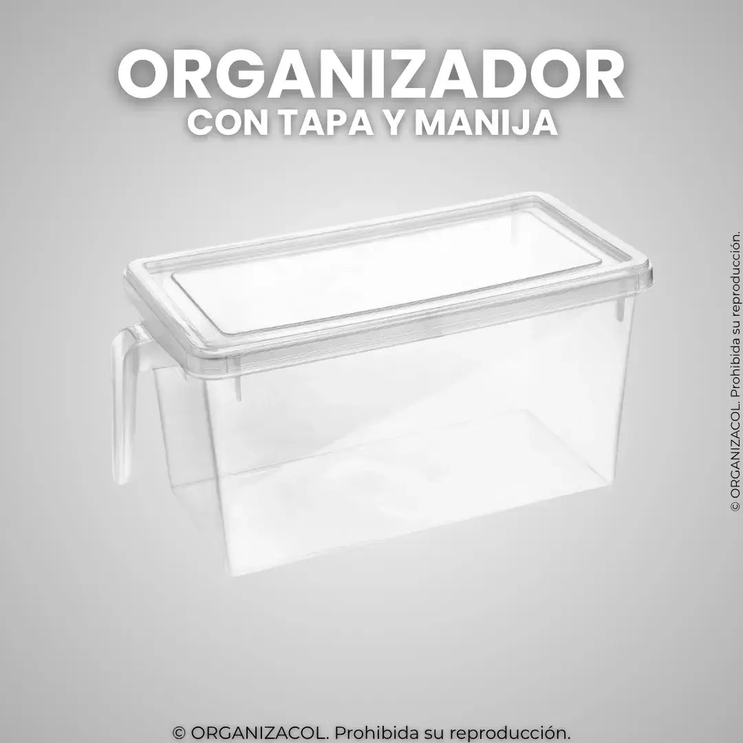 Organizador con Tapa y Manija