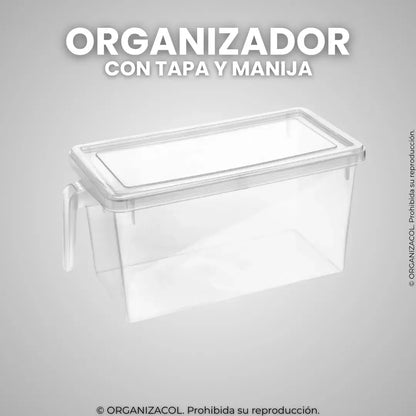 Organizador con Tapa y Manija