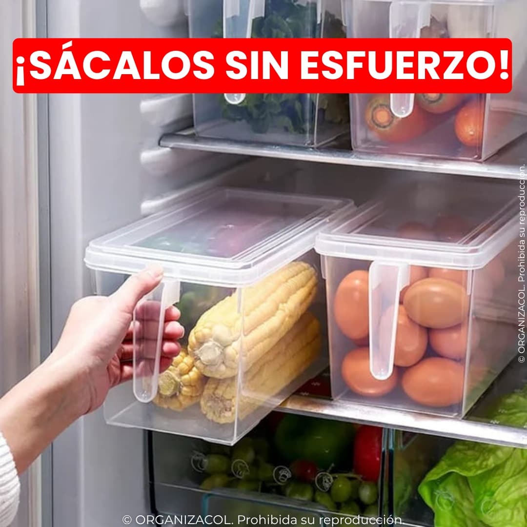 Organizador con Tapa y Manija