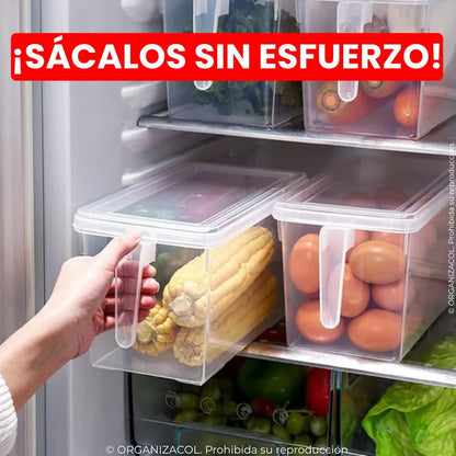Organizador con Tapa y Manija
