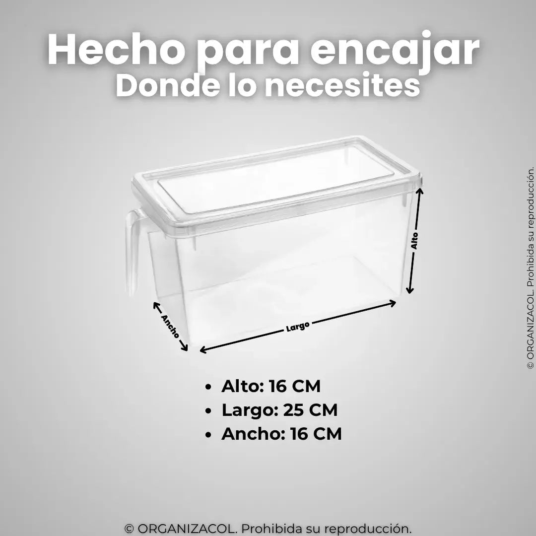 Organizador con Tapa y Manija
