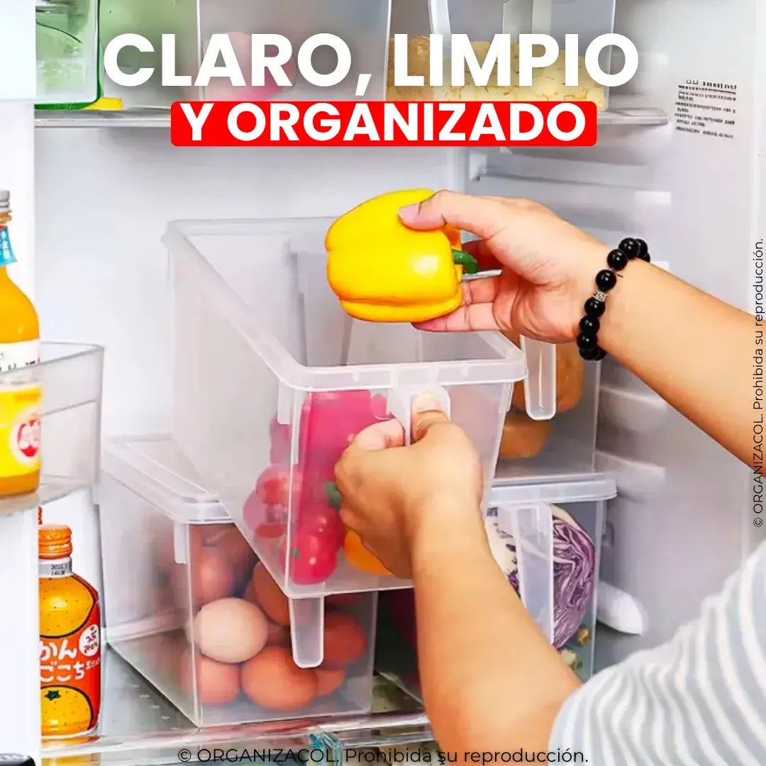 Organizador con Tapa y Manija