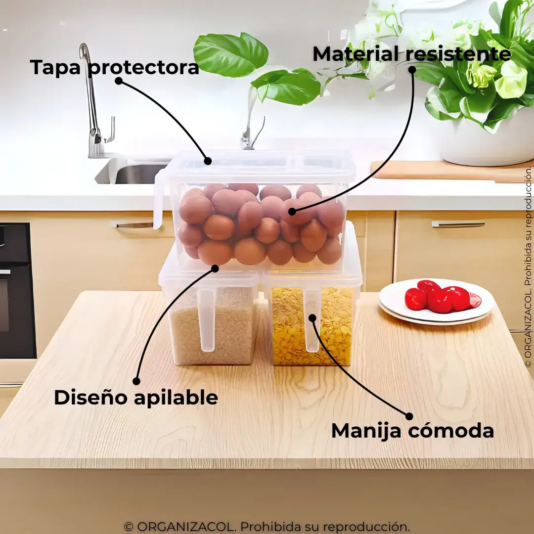 Organizador con Tapa y Manija