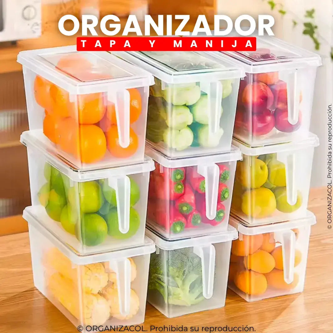 Organizador con Tapa y Manija